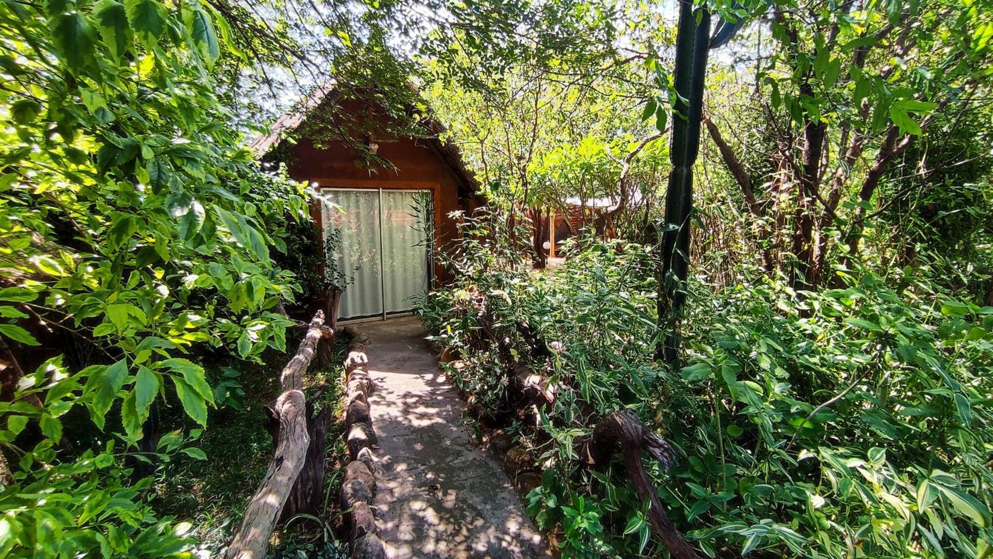 Elephant Trail Guesthouse And Backpackers Kasane Exterior photo