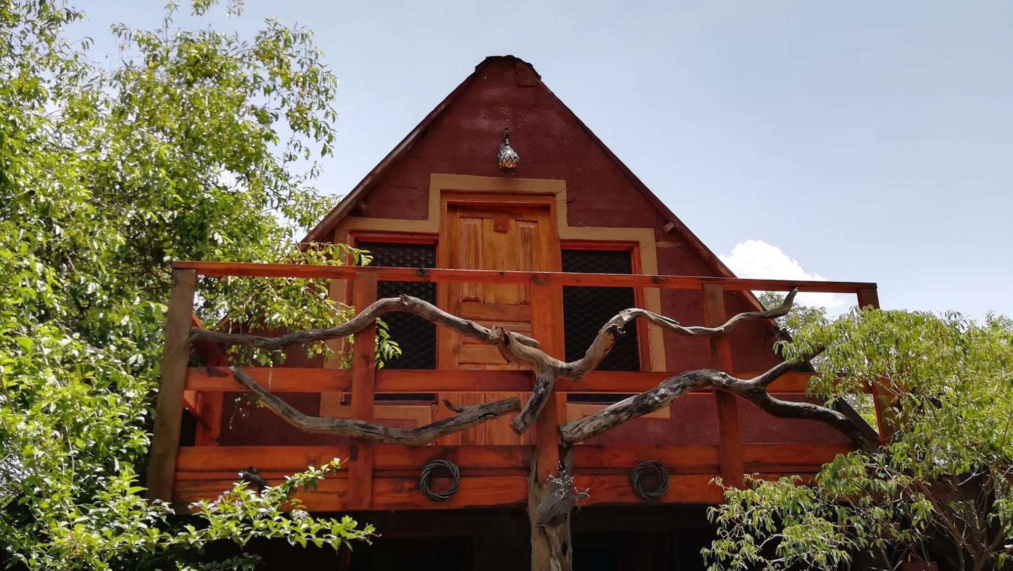 Elephant Trail Guesthouse And Backpackers Kasane Room photo
