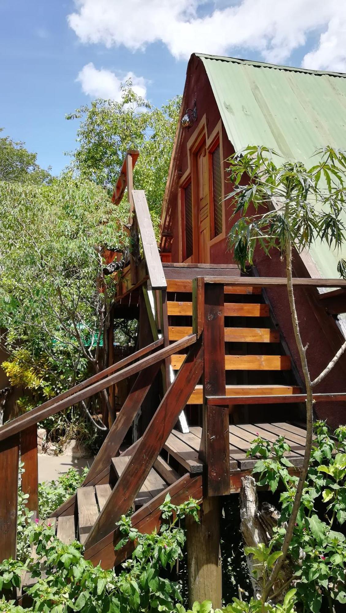 Elephant Trail Guesthouse And Backpackers Kasane Room photo