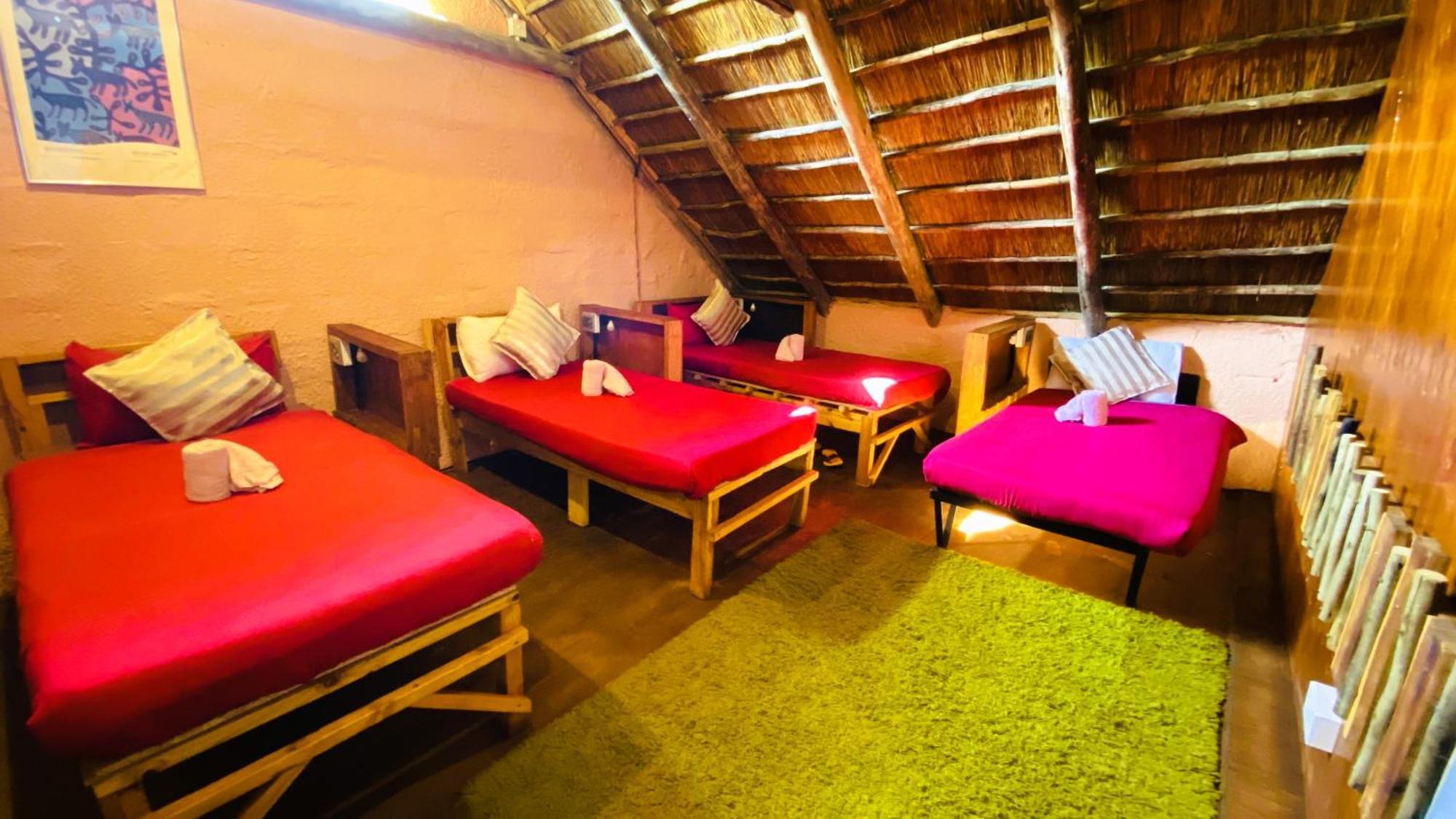 Elephant Trail Guesthouse And Backpackers Kasane Room photo
