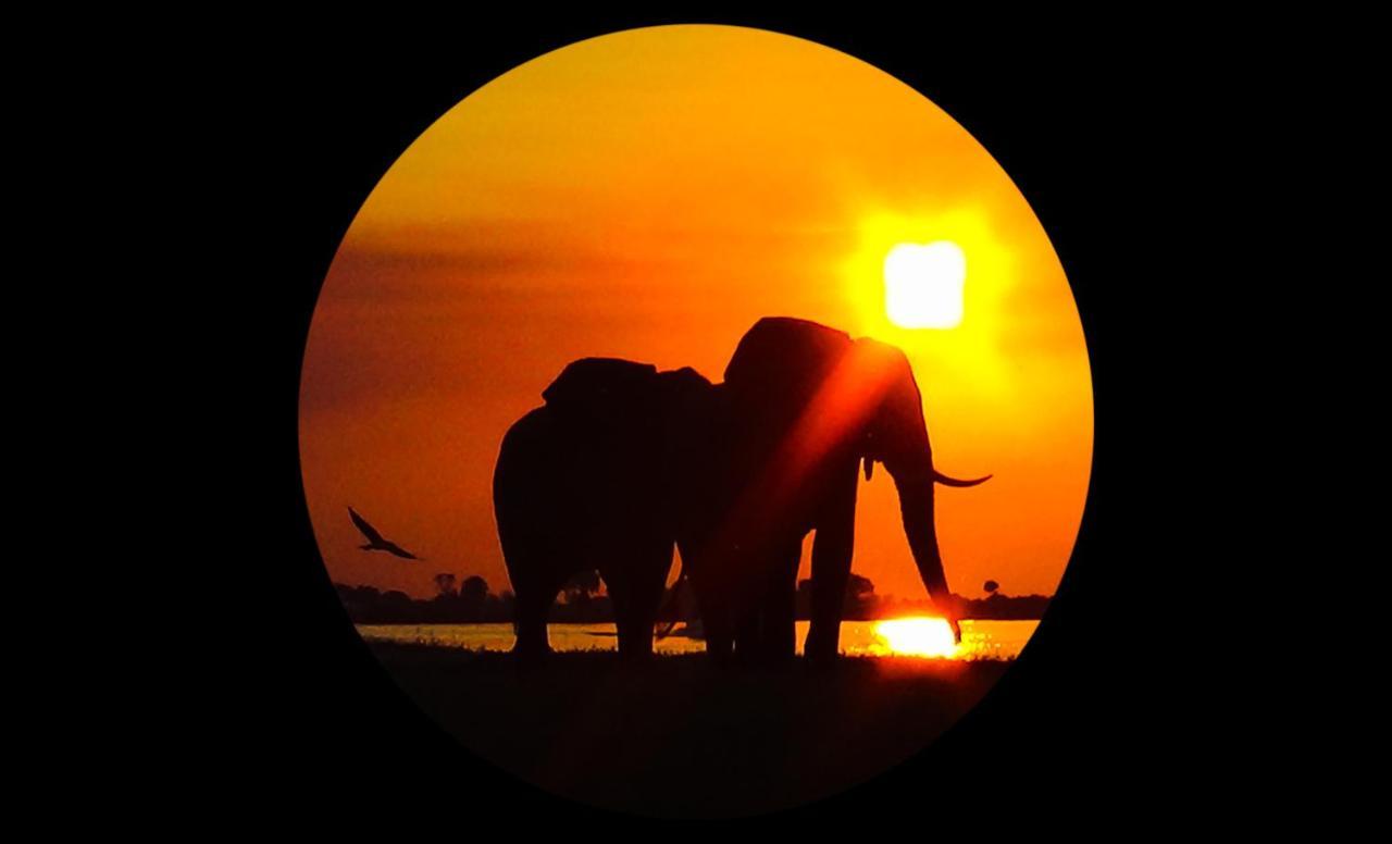 Elephant Trail Guesthouse And Backpackers Kasane Exterior photo